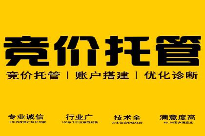 如何在竞争激烈的市场中做好SEM——案例分析